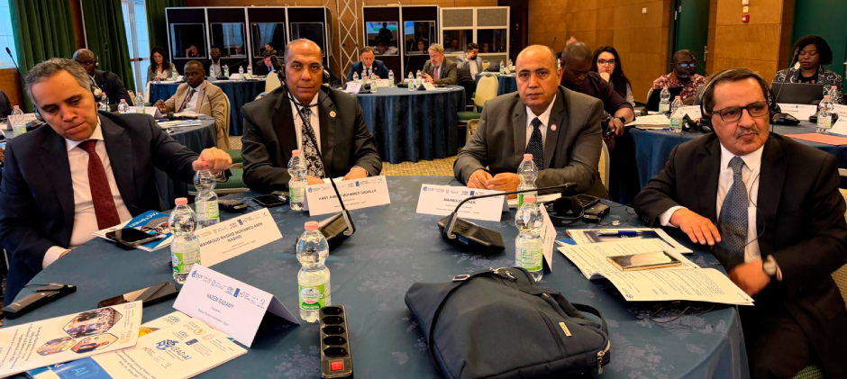 Executive Peer Learning Mission
