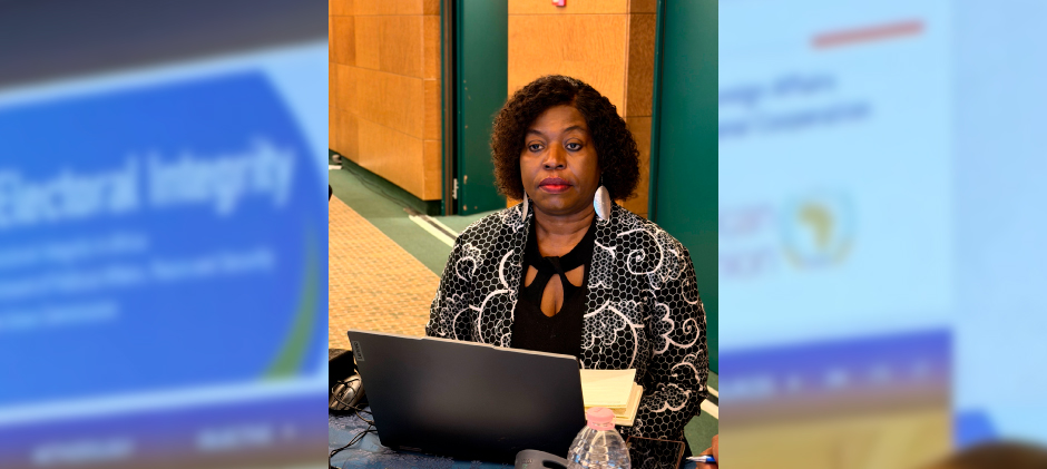 Executive Peer Learning Mission