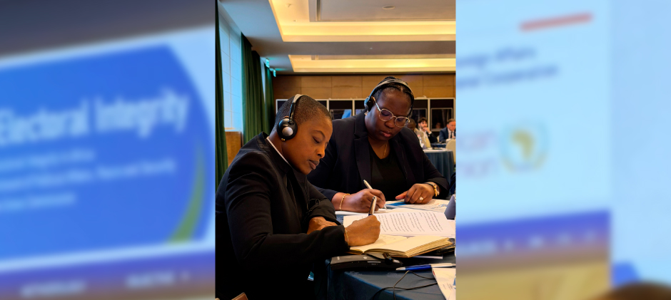 Executive Peer Learning Mission