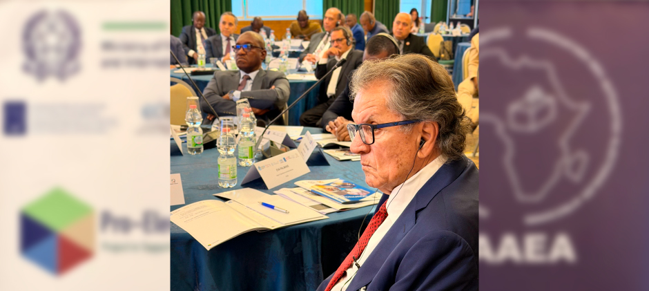 Executive Peer Learning Mission