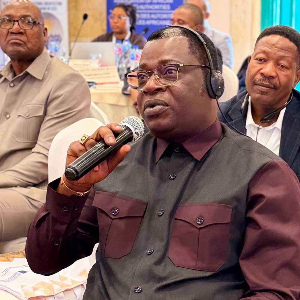 13th General Assembly of the Association of African Election Authorities