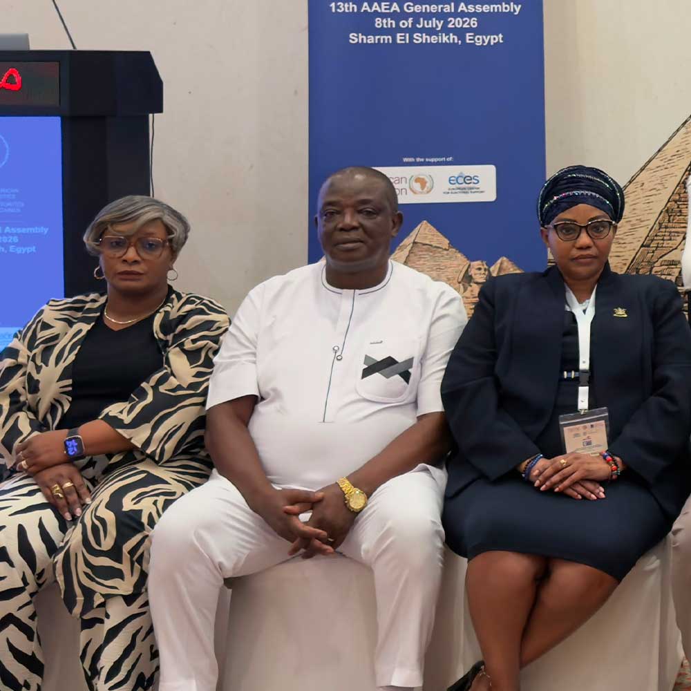 13th General Assembly of the Association of African Election Authorities
