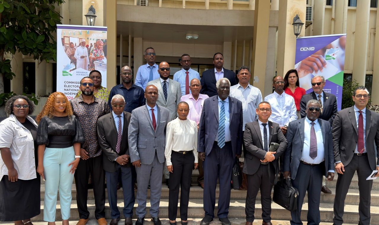 AAEA Peer Learning Mission to Djibouti